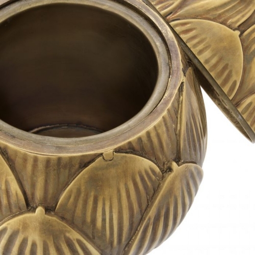 Box Artichoke 113066
