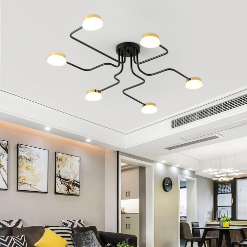 Ceiling Spider Care