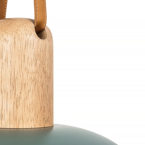 Eco Pendant