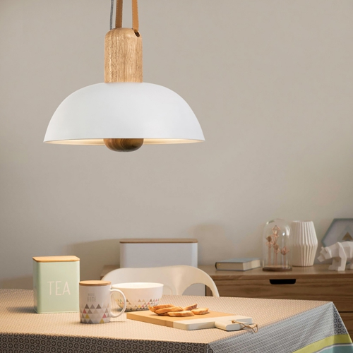 Eco Pendant