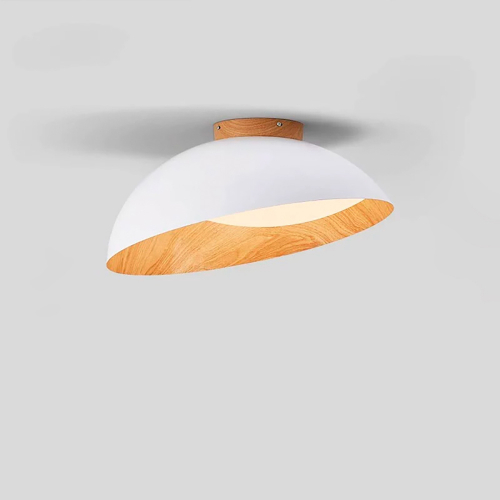 Edvin Ceiling