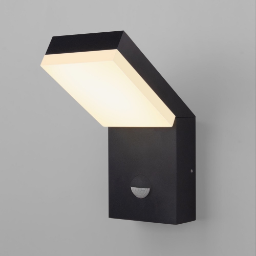 Уличный светильник Elektrostandard 1541 TECHNO LED черный