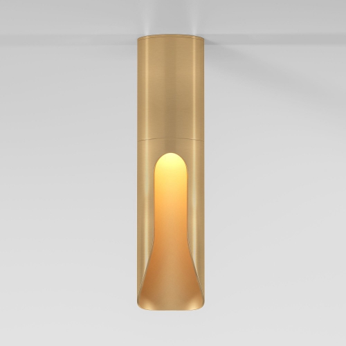 Elektrostandard 25113/LED