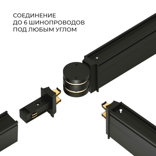 Elektrostandard 85010/00