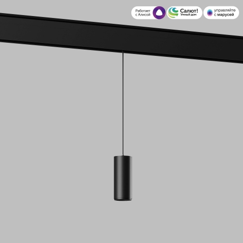 Elektrostandard 85072/01