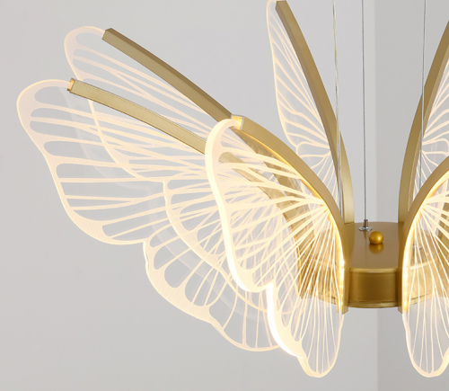 Fly Butterfly