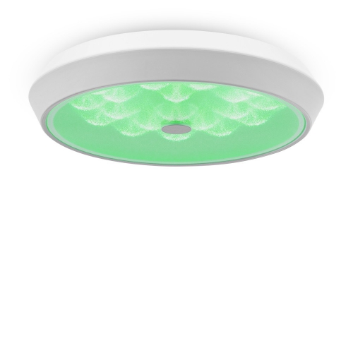 Freya FR10012CL-L24W