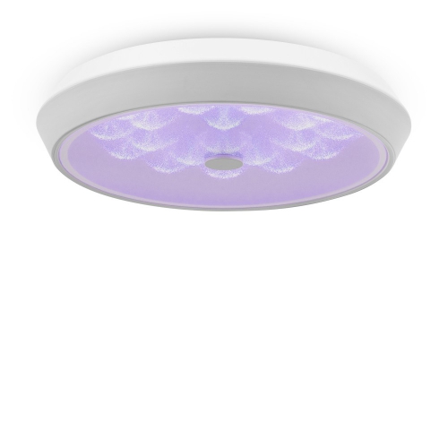 Freya FR10012CL-L24W