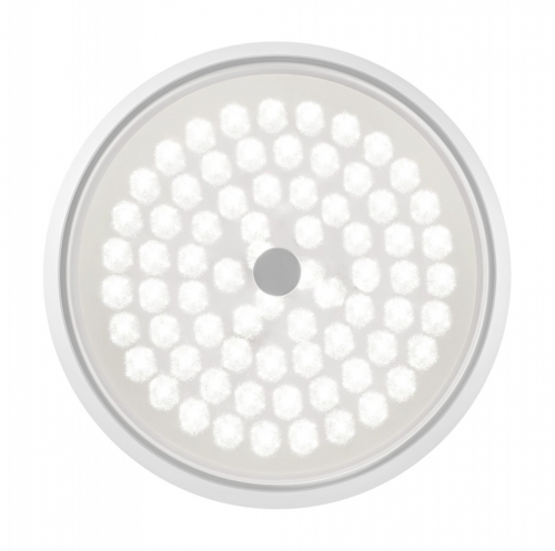 Freya FR10012CL-L24W
