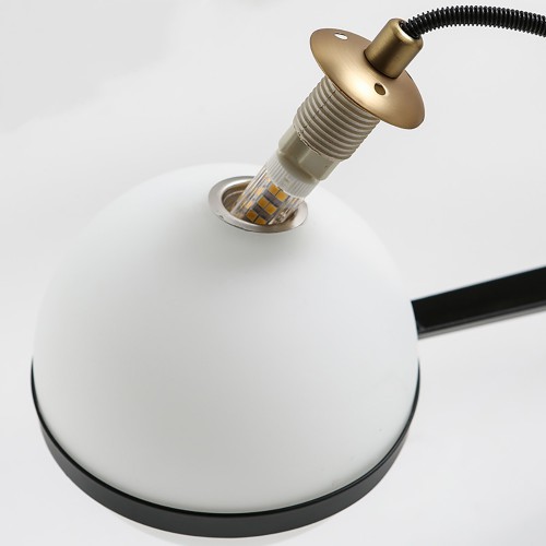 Midlight Meduz