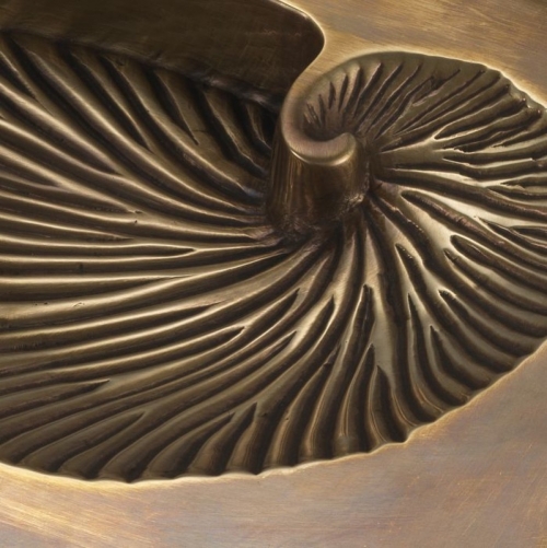 Object Conchiglia 113321