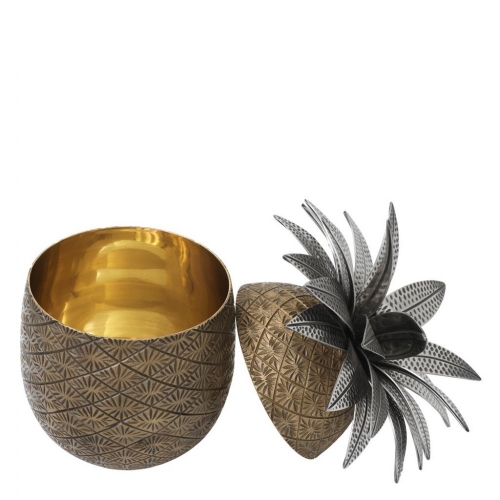 Pineapple 111553