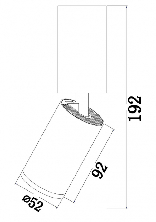 Потолочный светильник Technical C051CL-01W